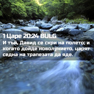 Picture 02 - 1 Царе 20:24 BULG - И тъй, Давид се скри на - Bible Verse Picture
