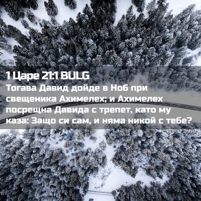 Picture 02 - 1 Царе 21:1 BULG - Тогава Давид дойде в Ноб - Bible Verse Picture