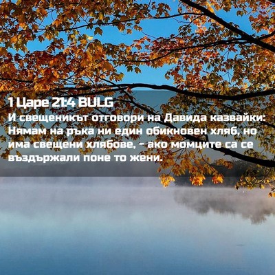 Picture 02 - 1 Царе 21:4 BULG - И свещеникът отговори на - Bible Verse Picture
