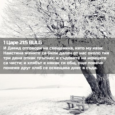 Picture 02 - 1 Царе 21:5 BULG - И Давид отговори на - Bible Verse Picture