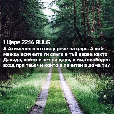 Picture 02 - 1 Царе 22:14 BULG - А Ахимелех в отговор рече - Bible Verse Picture