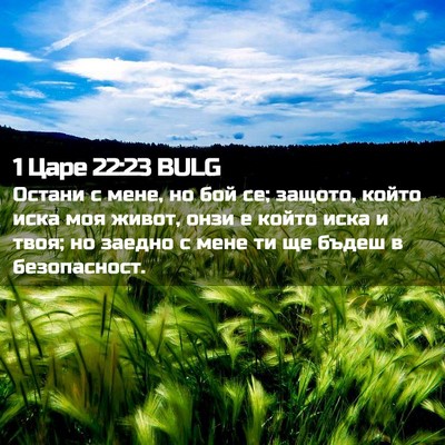 Picture 02 - 1 Царе 22:23 BULG - Остани с мене, но бой се; - Bible Verse Picture