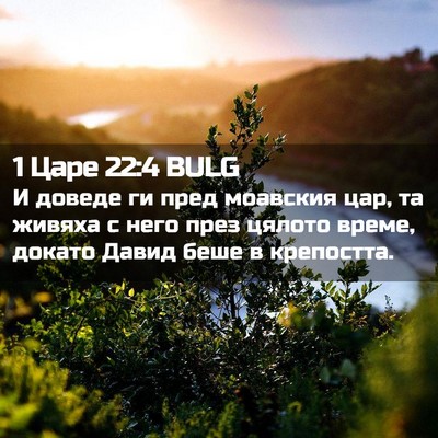 Picture 02 - 1 Царе 22:4 BULG - И доведе ги пред моавския - Bible Verse Picture
