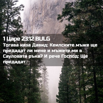 Picture 02 - 1 Царе 23:12 BULG - Тогава каза Давид: - Bible Verse Picture