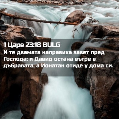 Picture 02 - 1 Царе 23:18 BULG - И те двамата направиха - Bible Verse Picture