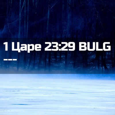 Picture 02 - 1 Царе 23:29 BULG -  - Bible Verse Picture