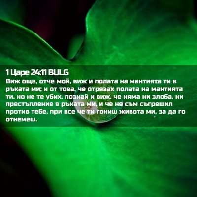 Picture 02 - 1 Царе 24:11 BULG - Виж още, отче мой, виж и - Bible Verse Picture