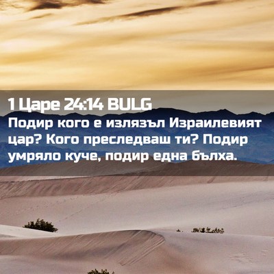 Picture 02 - 1 Царе 24:14 BULG - Подир кого е излязъл - Bible Verse Picture