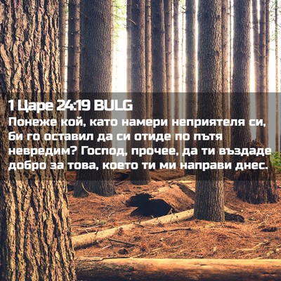 Picture 02 - 1 Царе 24:19 BULG - Понеже кой, като намери - Bible Verse Picture