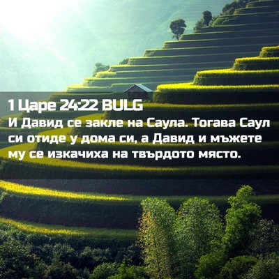 Picture 02 - 1 Царе 24:22 BULG - И Давид се закле на Саула. - Bible Verse Picture