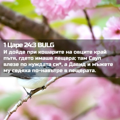 Picture 02 - 1 Царе 24:3 BULG - И дойде при кошарите на - Bible Verse Picture