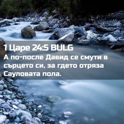 Picture 02 - 1 Царе 24:5 BULG - А по-после Давид се смути в - Bible Verse Picture
