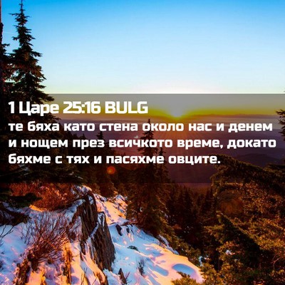Picture 02 - 1 Царе 25:16 BULG - те бяха като стена около - Bible Verse Picture