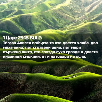 Picture 02 - 1 Царе 25:18 BULG - Тогава Авигея побърза та - Bible Verse Picture