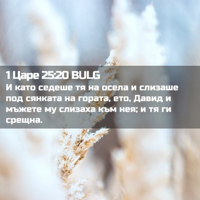 Picture 02 - 1 Царе 25:20 BULG - И като седеше тя на осела и - Bible Verse Picture