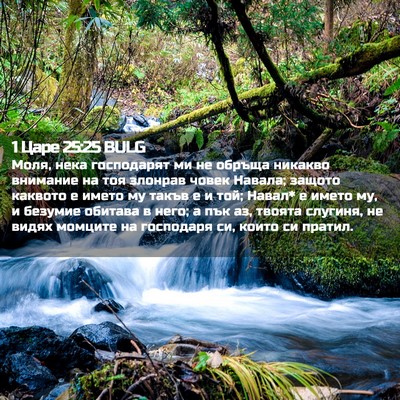 Picture 02 - 1 Царе 25:25 BULG - Моля, нека господарят ми не - Bible Verse Picture