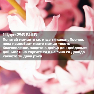 Picture 02 - 1 Царе 25:8 BULG - Попитай момците си, и ще ти - Bible Verse Picture