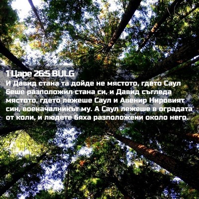 Picture 02 - 1 Царе 26:5 BULG - И Давид стана та дойде не - Bible Verse Picture