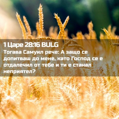 Picture 02 - 1 Царе 28:16 BULG - Тогава Самуил рече: А защо - Bible Verse Picture
