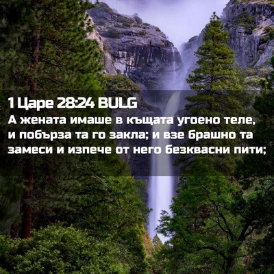 Picture 02 - 1 Царе 28:24 BULG - А жената имаше в къщата - Bible Verse Picture