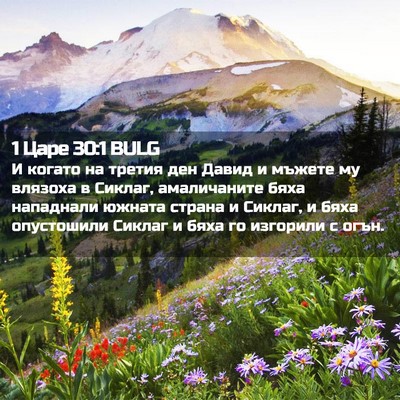 Picture 02 - 1 Царе 30:1 BULG - И когато на третия ден - Bible Verse Picture
