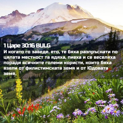 Picture 02 - 1 Царе 30:16 BULG - И когато го заведе, ето, те - Bible Verse Picture