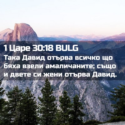 Picture 02 - 1 Царе 30:18 BULG - Така Давид отърва всичко - Bible Verse Picture