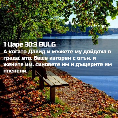 Picture 02 - 1 Царе 30:3 BULG - А когато Давид и мъжете му - Bible Verse Picture