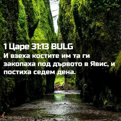 Picture 02 - 1 Царе 31:13 BULG - И взеха костите им та ги - Bible Verse Picture