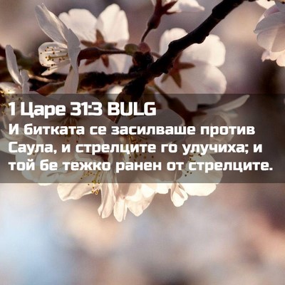 Picture 02 - 1 Царе 31:3 BULG - И битката се засилваше - Bible Verse Picture