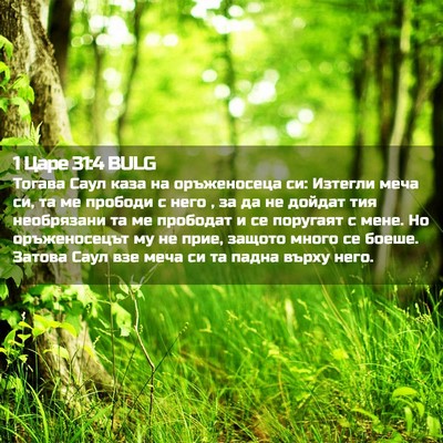 Picture 02 - 1 Царе 31:4 BULG - Тогава Саул каза на - Bible Verse Picture