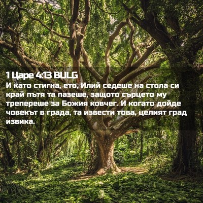 Picture 02 - 1 Царе 4:13 BULG - И като стигна, ето, Илий - Bible Verse Picture