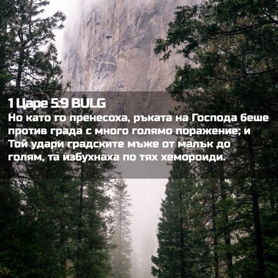 Picture 02 - 1 Царе 5:9 BULG - Но като го пренесоха, - Bible Verse Picture