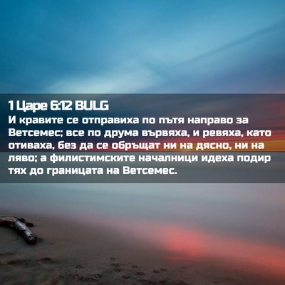 Picture 02 - 1 Царе 6:12 BULG - И кравите се отправиха по - Bible Verse Picture