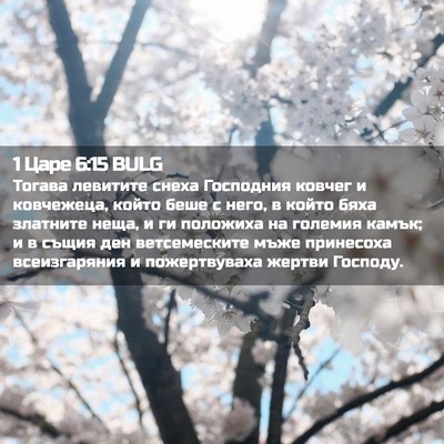 Picture 02 - 1 Царе 6:15 BULG - Тогава левитите снеха - Bible Verse Picture