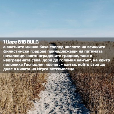 Picture 02 - 1 Царе 6:18 BULG - а златните мишки бяха - Bible Verse Picture