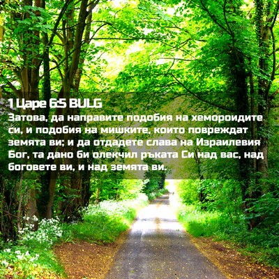 Picture 02 - 1 Царе 6:5 BULG - Затова, да направите - Bible Verse Picture