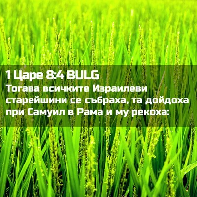 Picture 02 - 1 Царе 8:4 BULG - Тогава всичките Израилеви - Bible Verse Picture