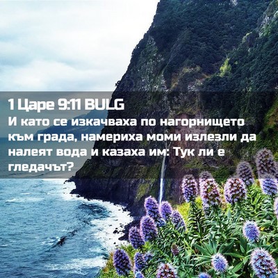 Picture 02 - 1 Царе 9:11 BULG - И като се изкачваха по - Bible Verse Picture