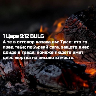 Picture 02 - 1 Царе 9:12 BULG - А те в отговор казаха им: - Bible Verse Picture