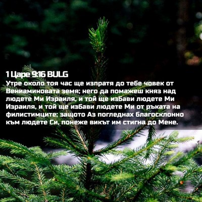 Picture 02 - 1 Царе 9:16 BULG - Утре около тоя час ще - Bible Verse Picture