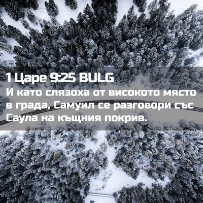 Picture 02 - 1 Царе 9:25 BULG - И като слязоха от високото - Bible Verse Picture