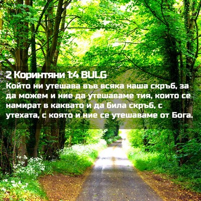 Picture 02 - 2 Коринтяни 1:4 BULG - Който ни утешава във всяка - Bible Verse Picture