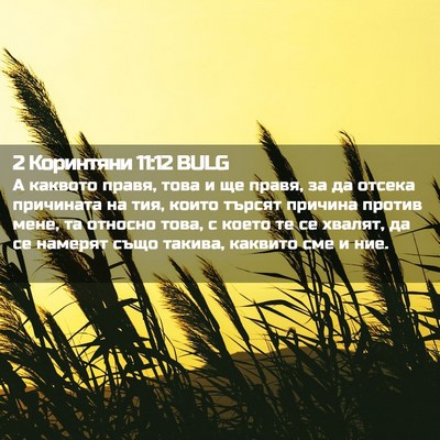 Picture 02 - 2 Коринтяни 11:12 BULG - А каквото правя, това и ще - Bible Verse Picture