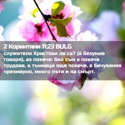 Picture 02 - 2 Коринтяни 11:23 BULG - служители Христови ли са? - Bible Verse Picture