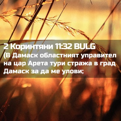 Picture 02 - 2 Коринтяни 11:32 BULG - (В Дамаск областният - Bible Verse Picture