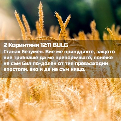 Picture 02 - 2 Коринтяни 12:11 BULG - Станах безумен. Вие ме - Bible Verse Picture