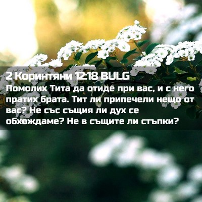 Picture 02 - 2 Коринтяни 12:18 BULG - Помолих Тита да отиде при - Bible Verse Picture