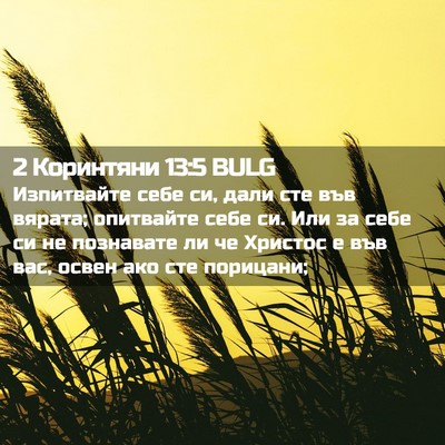 Picture 02 - 2 Коринтяни 13:5 BULG - Изпитвайте себе си, дали - Bible Verse Picture