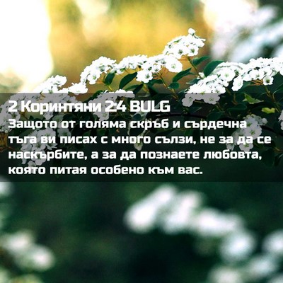 Picture 02 - 2 Коринтяни 2:4 BULG - Защото от голяма скръб и - Bible Verse Picture